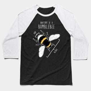 Bumblebee Anatomy Baseball T-Shirt